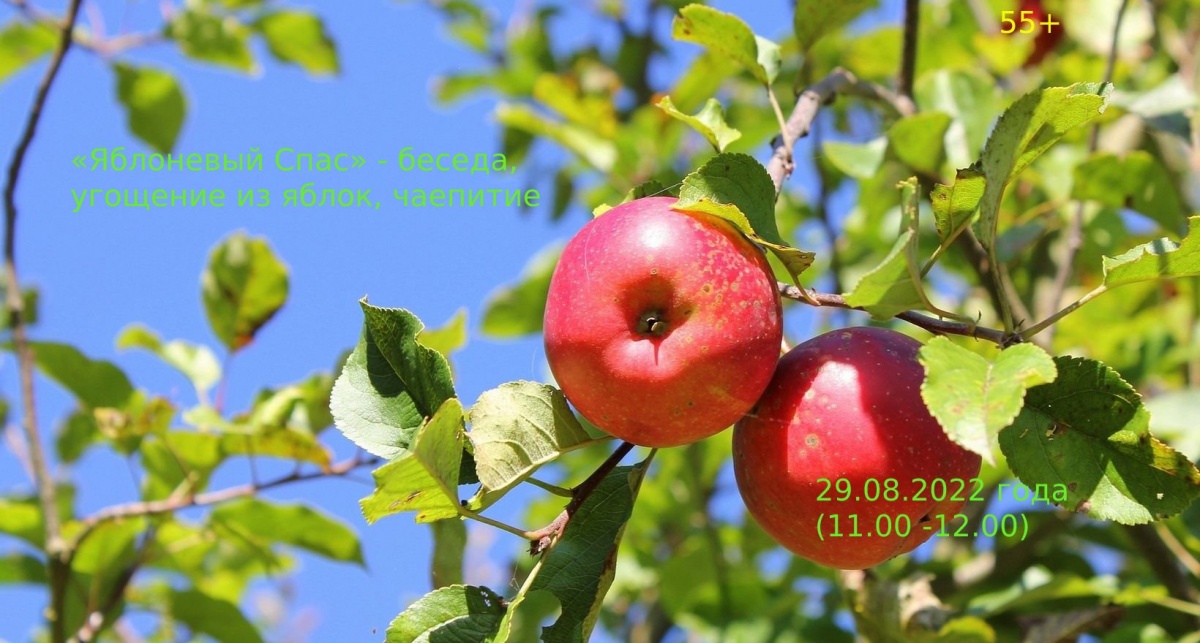«Яблоневый Спас» - беседа, угощение из яблок, чаепитие